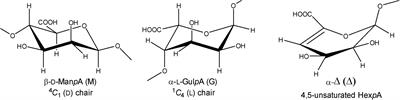 Enzymatic depolymerization of alginate by two novel thermostable alginate lyases from Rhodothermus marinus